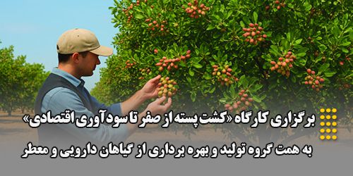 برگزاری کارگاه «کشت پسته از صفر تا سودآوری اقتصادی»