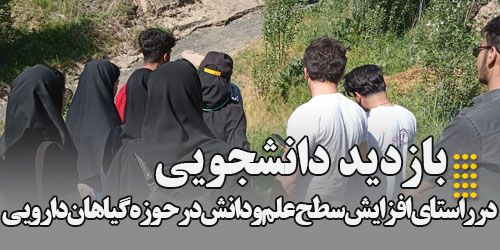 بازدید دانشجویان رشته گیاهان دارویی موسسه آموزش عالی اقبال لاهوری از روستای عارفی جهت آشنایی با گیاهان دارویی بومی